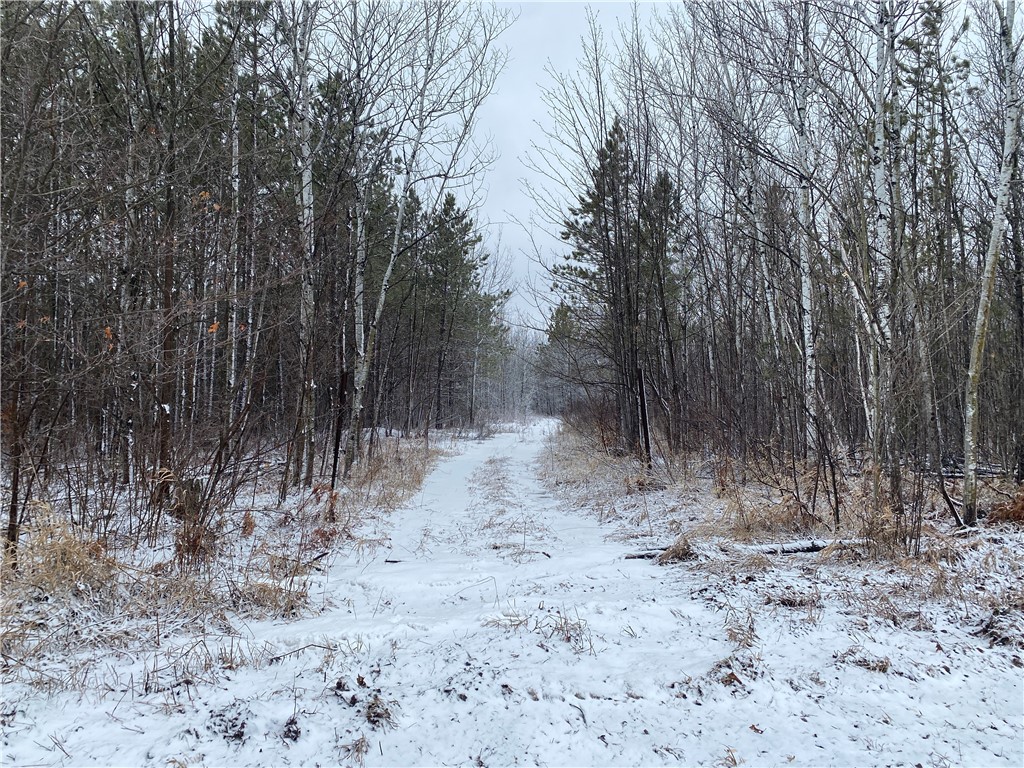 On Sorenson Road Port Wing WI 54865 1598122 image5