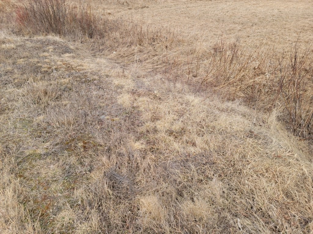 On Townline Road Ojibwa WI 54862 1589876 image3