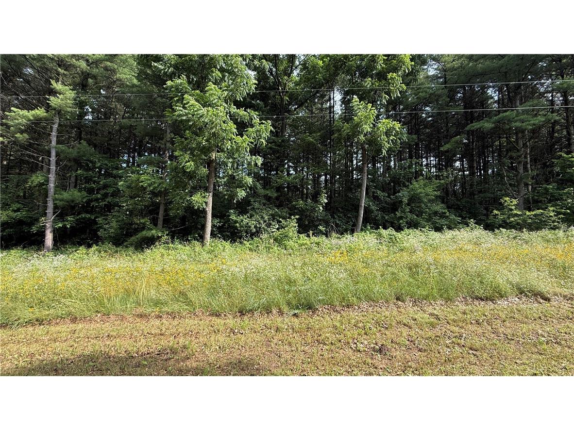 Parcel 0002 180th Avenue Mondovi WI 54755 1593815 image1