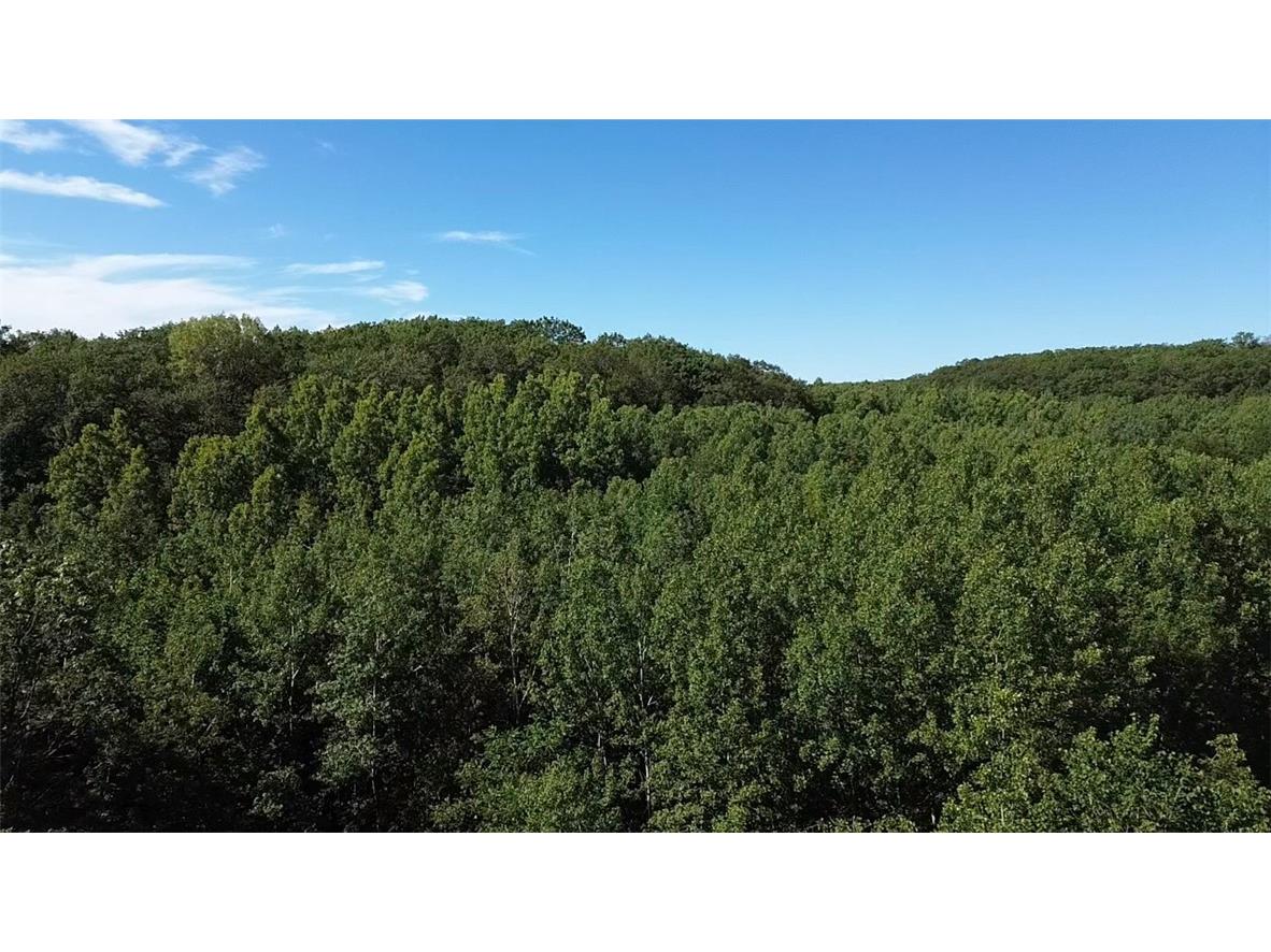 Parcel 2 County Highway T Birchwood WI 54817 1588308 image1