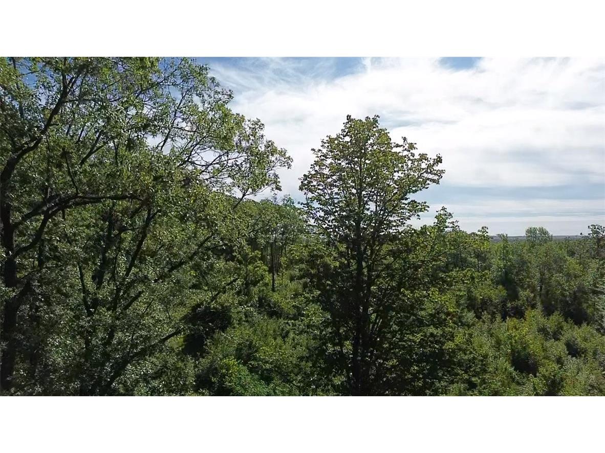 Parcel 3 County Highway T Birchwood WI 54817 1588309 image1