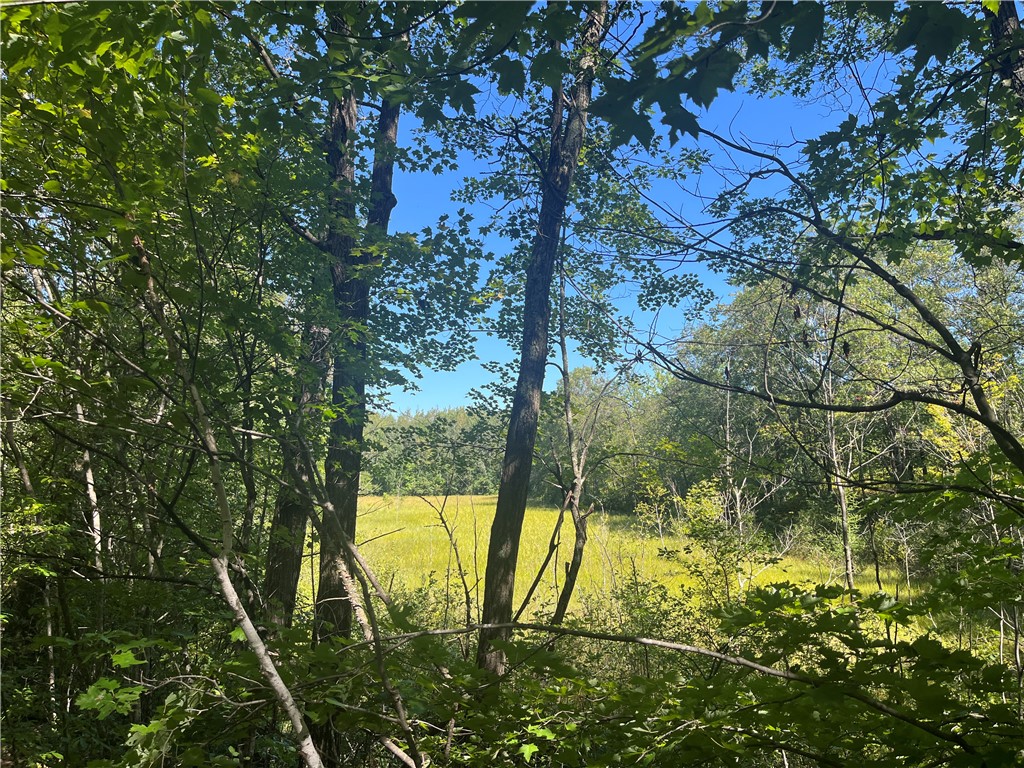 Parcel 4 County Highway T Birchwood WI 54817 1588310 image1