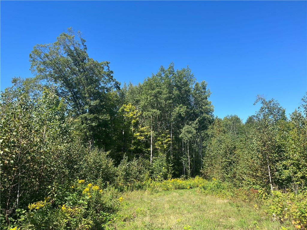 Parcel 7 County Highway T Birchwood WI 54817 1588313 image1