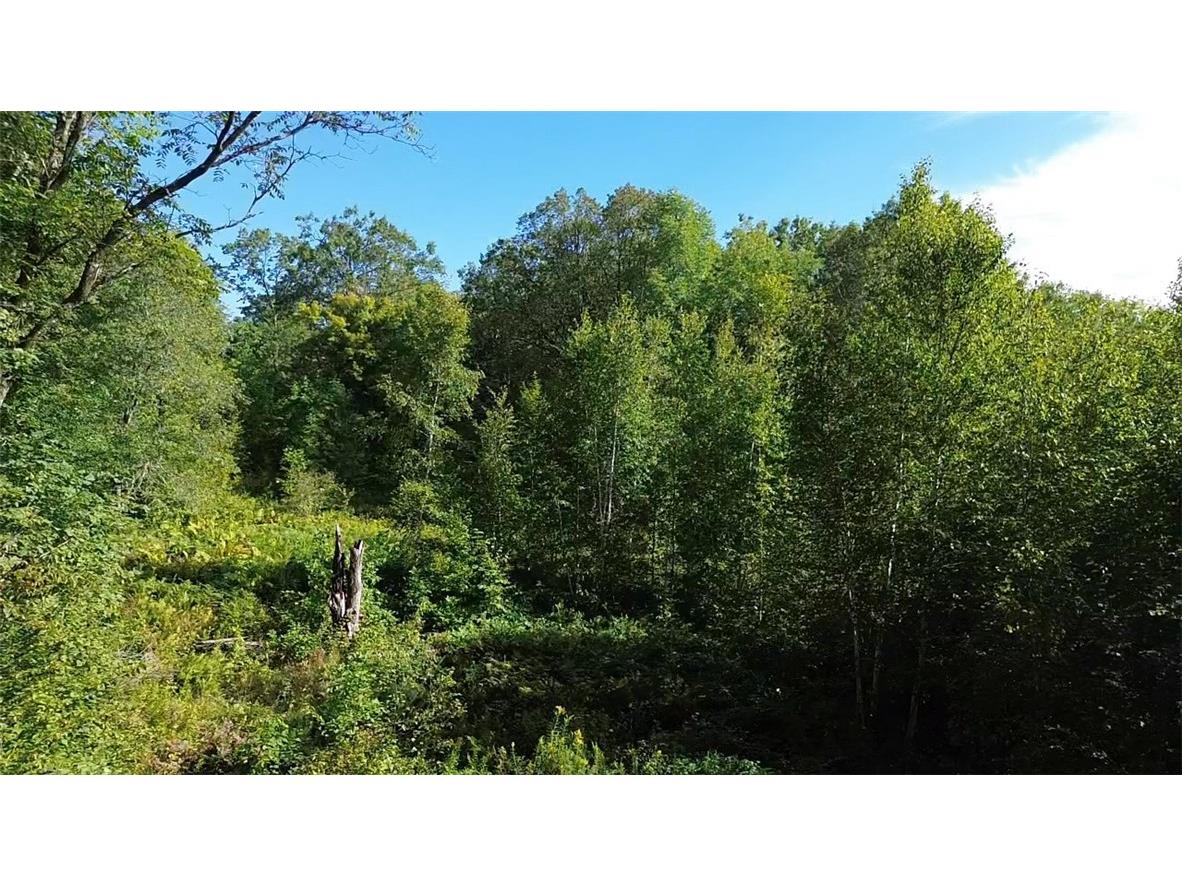 Parcel 9 County Highway T Birchwood WI 54817 1588315 image1