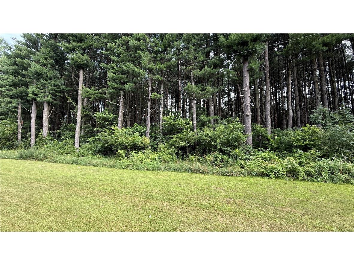 Parcels 0004 & 0006 180th Avenue Mondovi WI 54755 1593818 image1