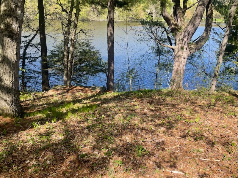 Pt Lot 4 Parcel B 540th Street Menomonie WI 54751 - Tainter 1601025 image1