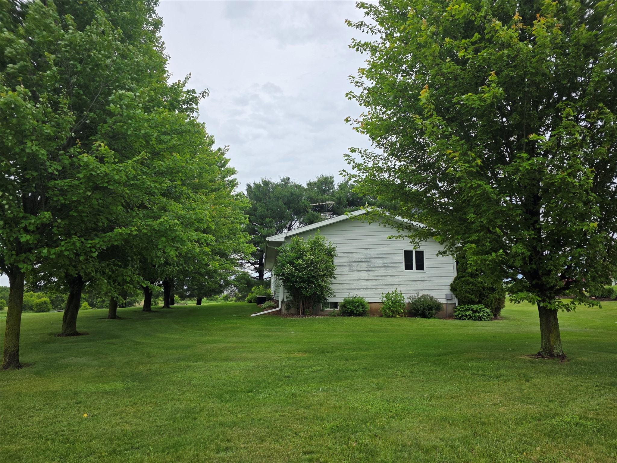 S 12828 Schultz Road Osseo WI 54758 1602167 image5