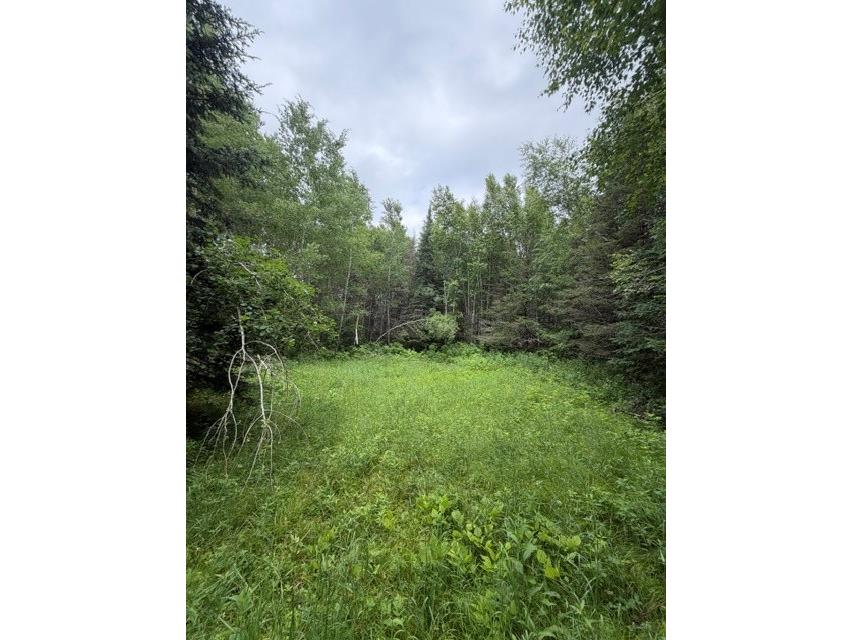 20 Acres S 5th Avenue Trego WI 54888 1602779 image1