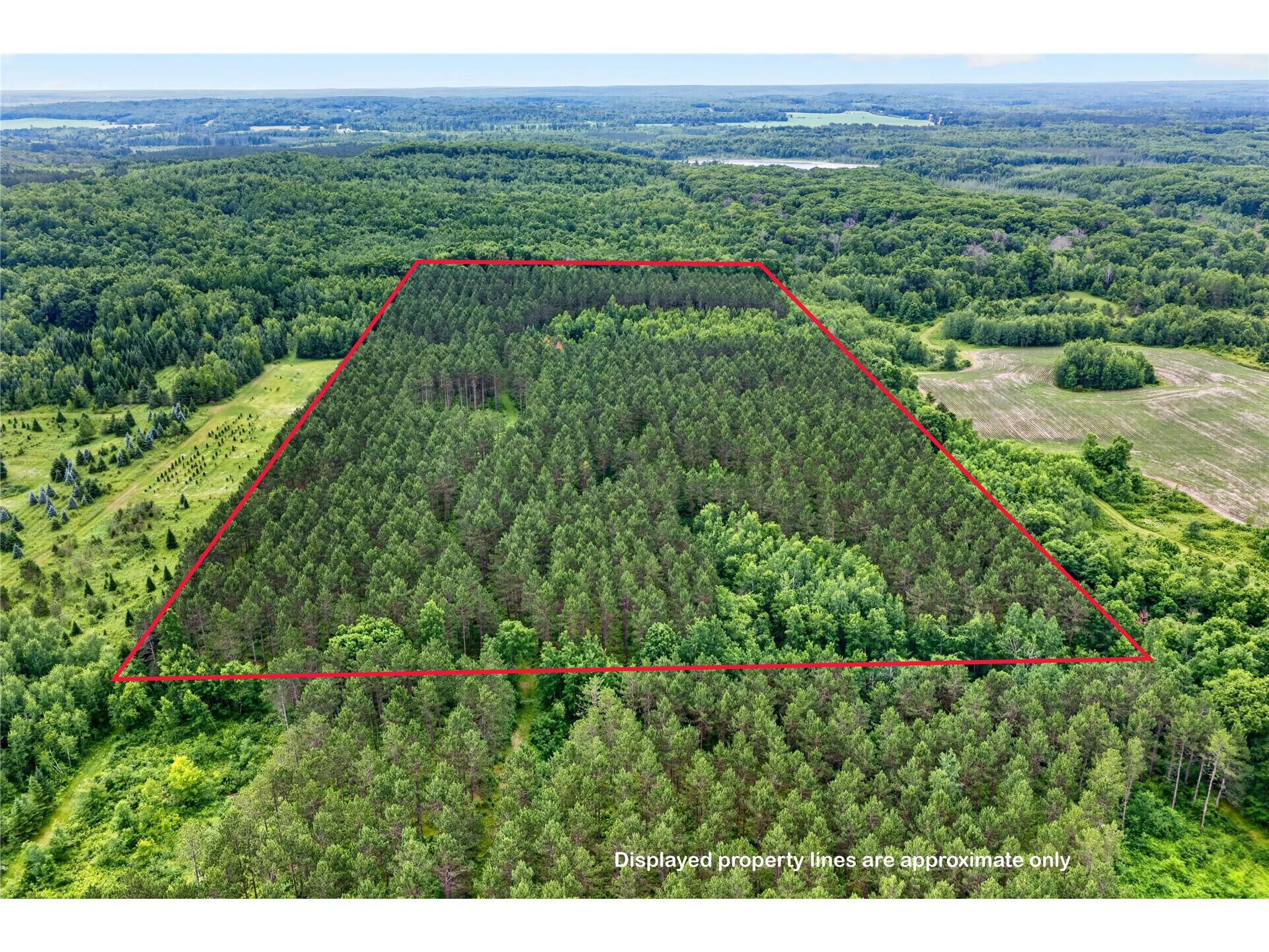 20 Acres S 5th Avenue Trego WI 54888 1602779 image11