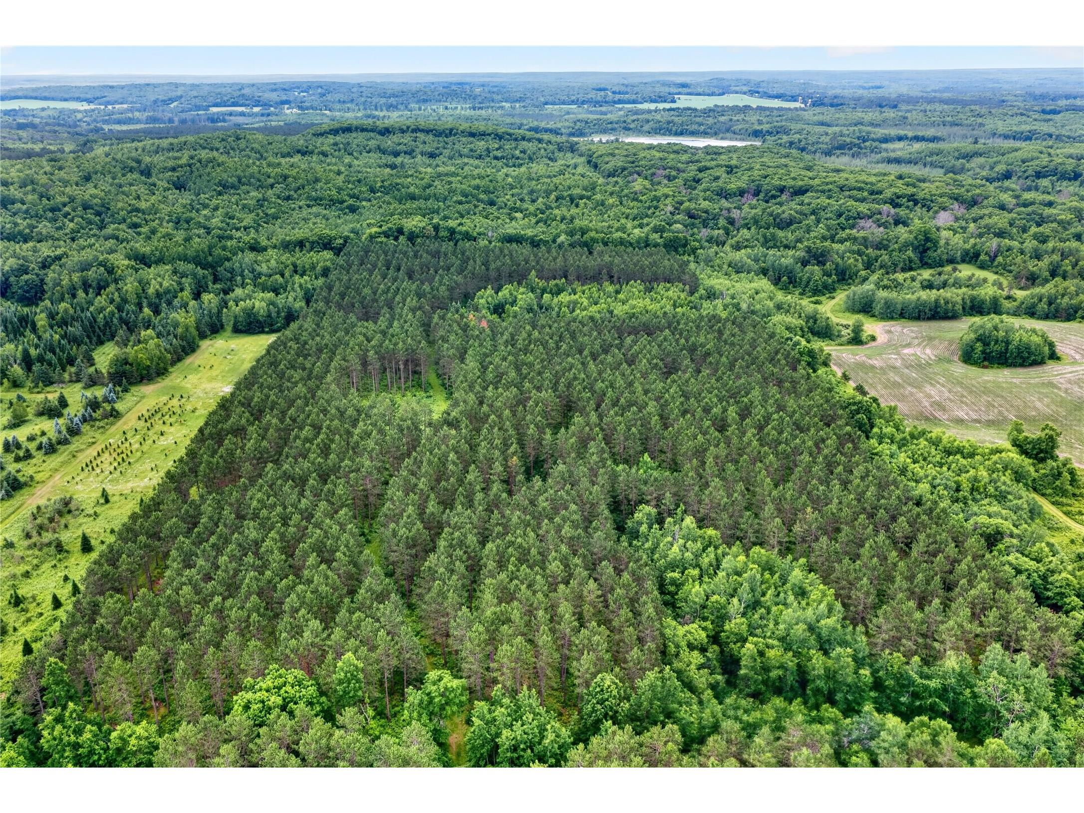 20 Acres S 5th Avenue Trego WI 54888 1602779 image13