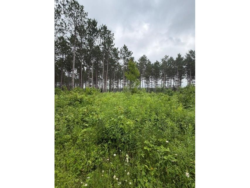 20 Acres S 5th Avenue Trego WI 54888 1602779 image6