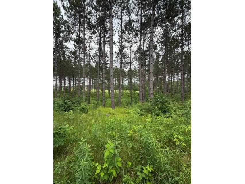 20 Acres S 5th Avenue Trego WI 54888 1602779 image7