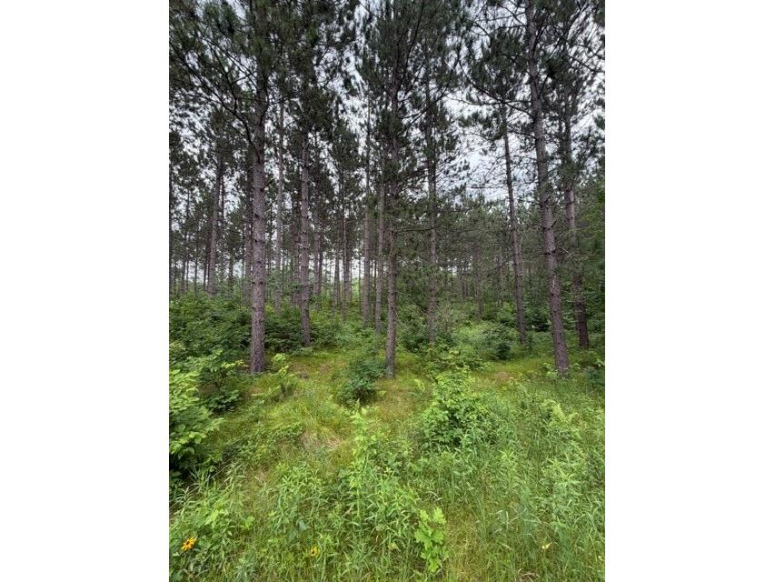 20 Acres S 5th Avenue Trego WI 54888 1602779 image9