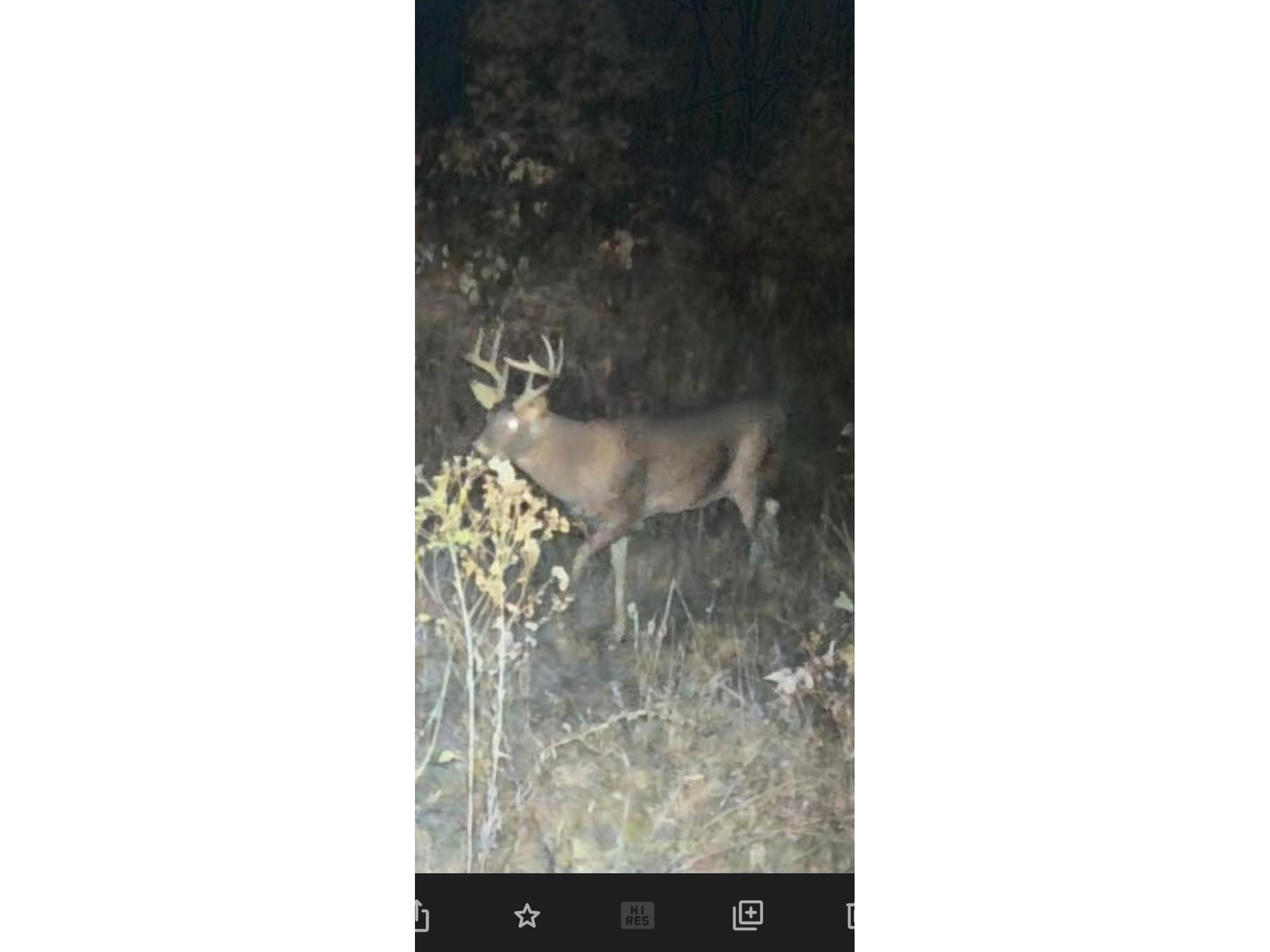 S11305 Kempton Road Augusta WI 54722 1602723 image39