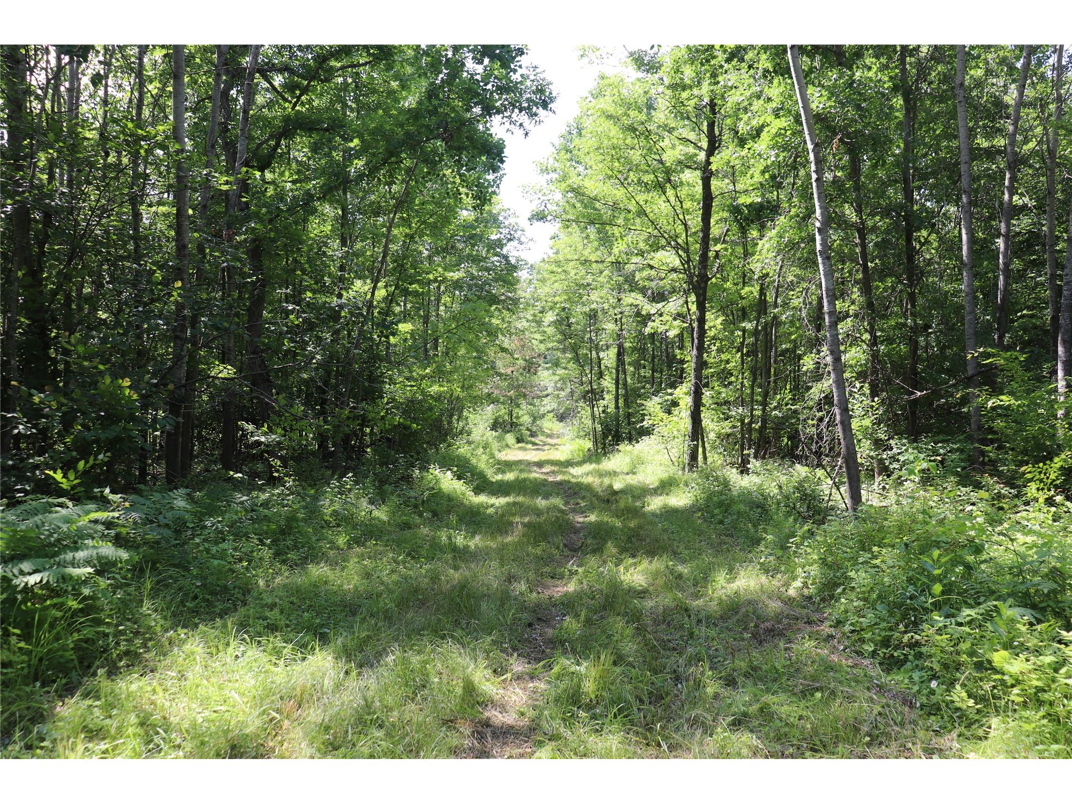 S11305 Kempton Road Augusta WI 54722 1602723 image49