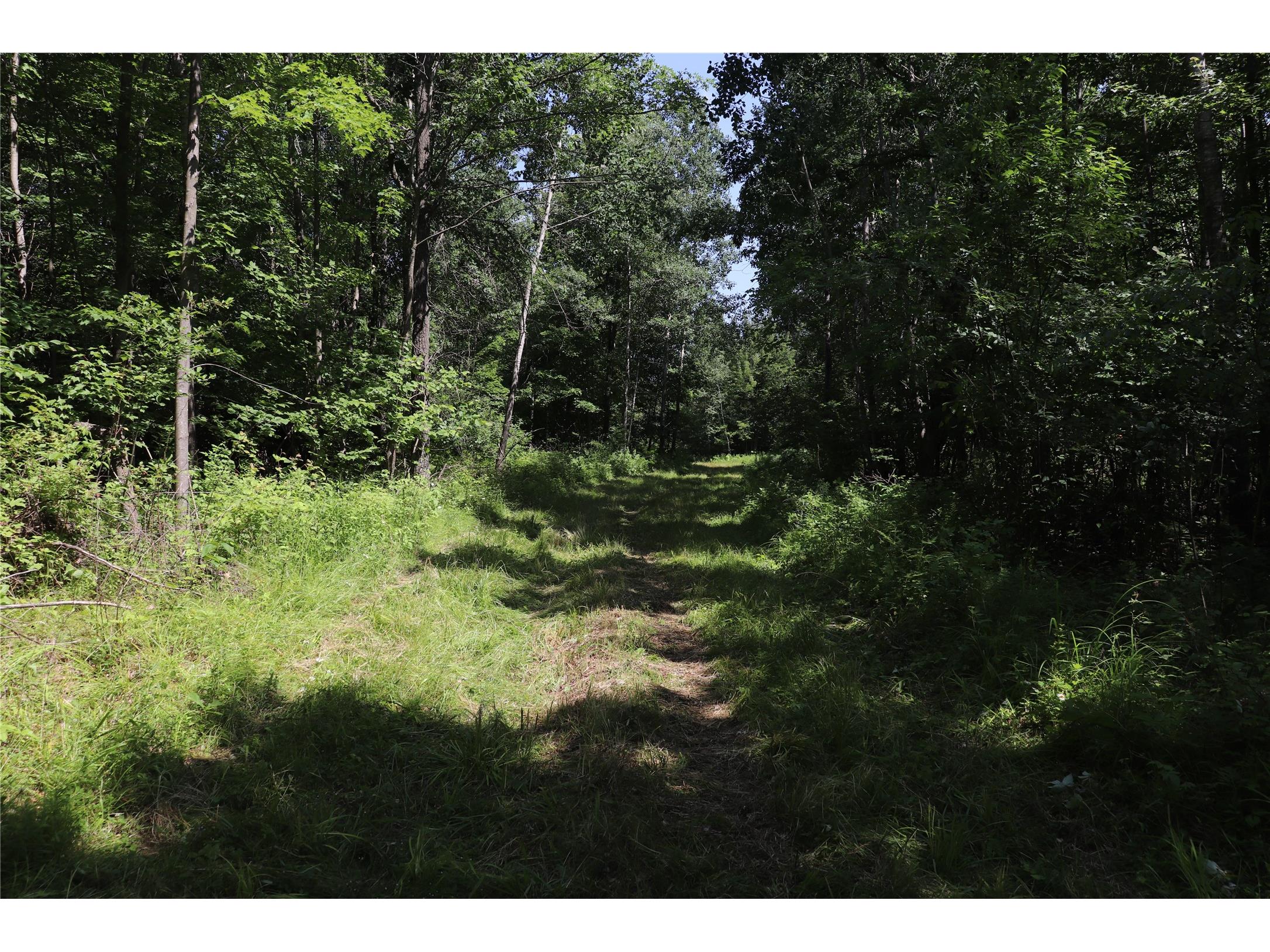 S11305 Kempton Road Augusta WI 54722 1602723 image7