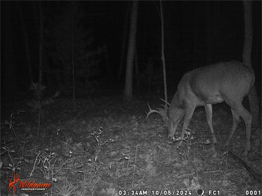 S2111 Pine Road Fall Creek WI 54742 1595078 image55