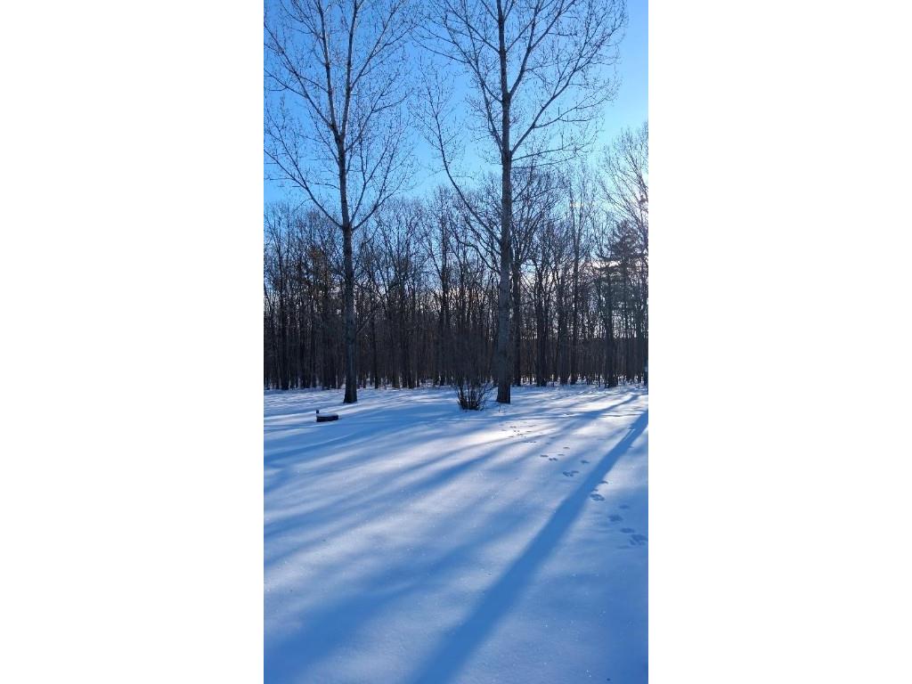 S825 Tower Road Boyd WI 54726 1598102 image11