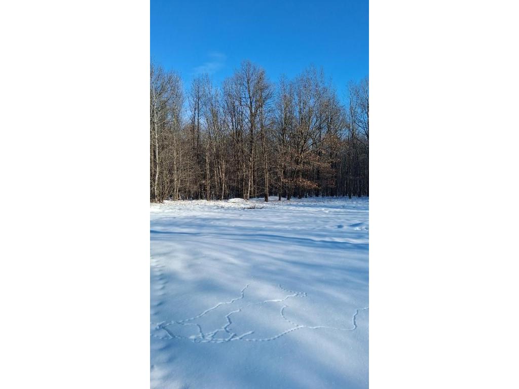 S825 Tower Road Boyd WI 54726 1598102 image9