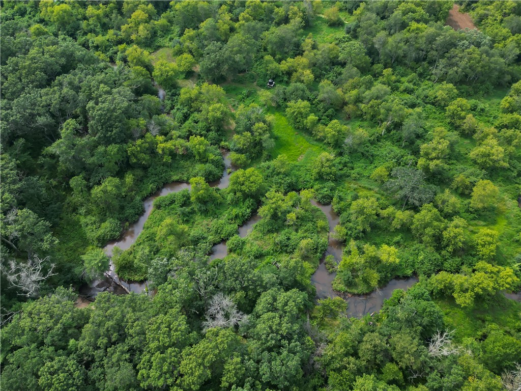 S9025 Lowes Creek Road Eleva WI 54738 - LOWES CREEK 1598421 image50