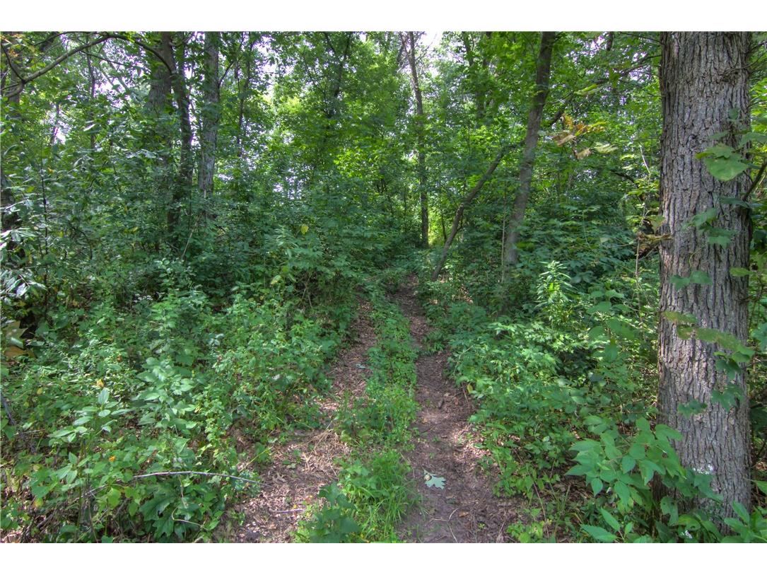 S9025 Lowes Creek Road Eleva WI 54738 - LOWES CREEK 1598421 image7