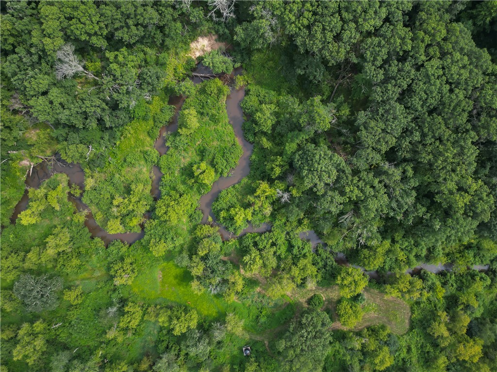 S9025 Lowes Creek Road Eleva WI 54738 - LOWES CREEK 1598421 image8