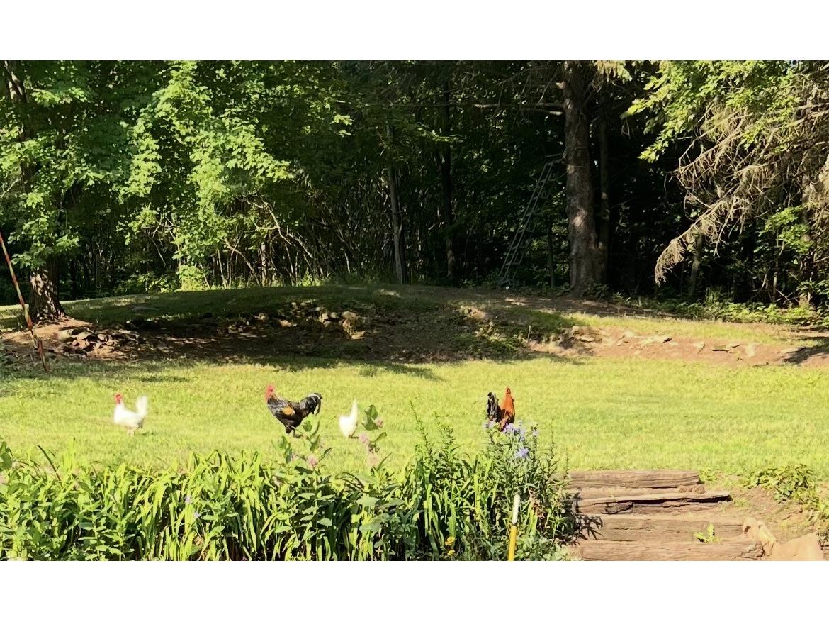 S9220 Hillview Road Fall Creek WI 54742 1599722 image17