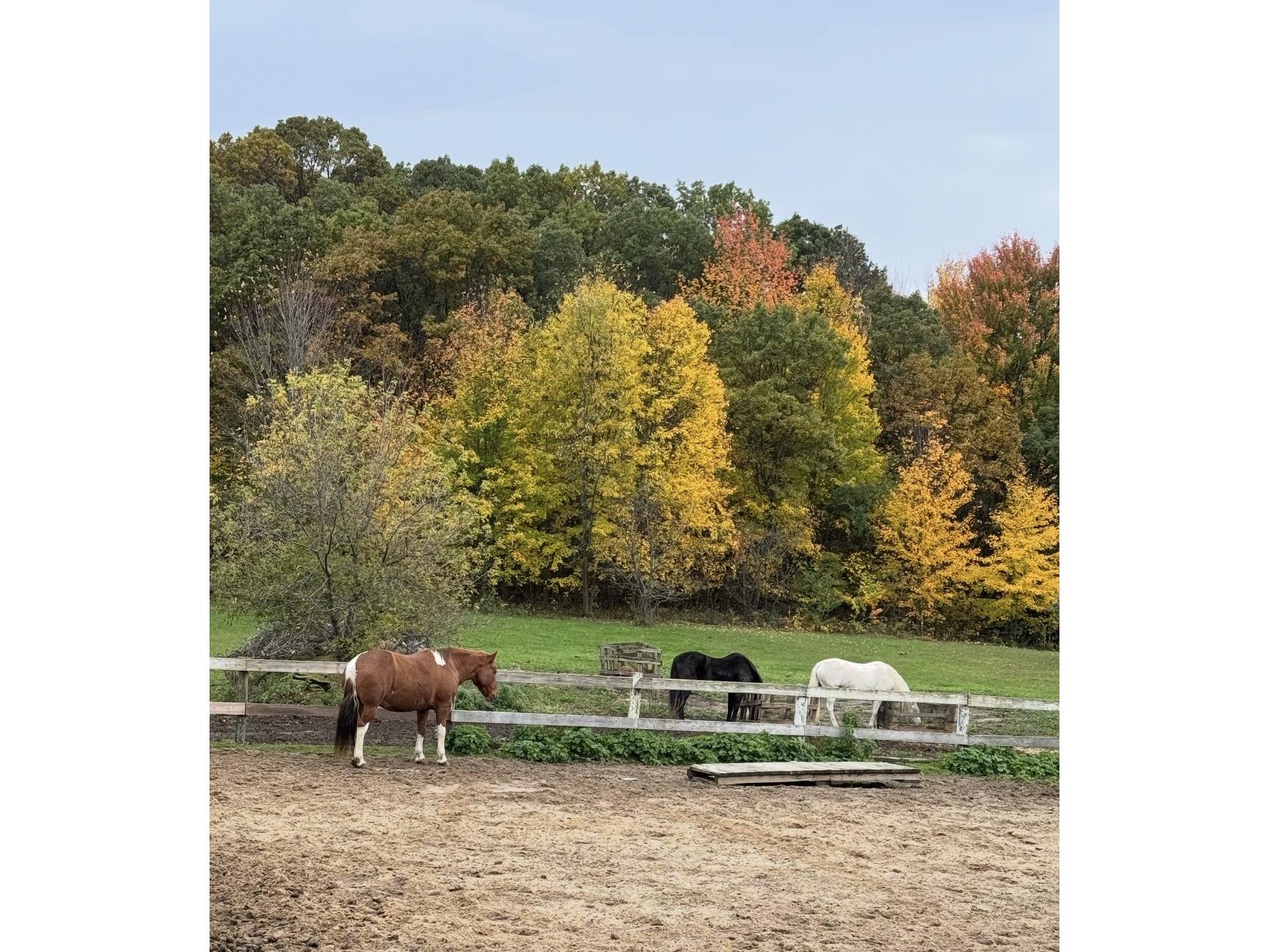 S9220 Hillview Road Fall Creek WI 54742 1599722 image26