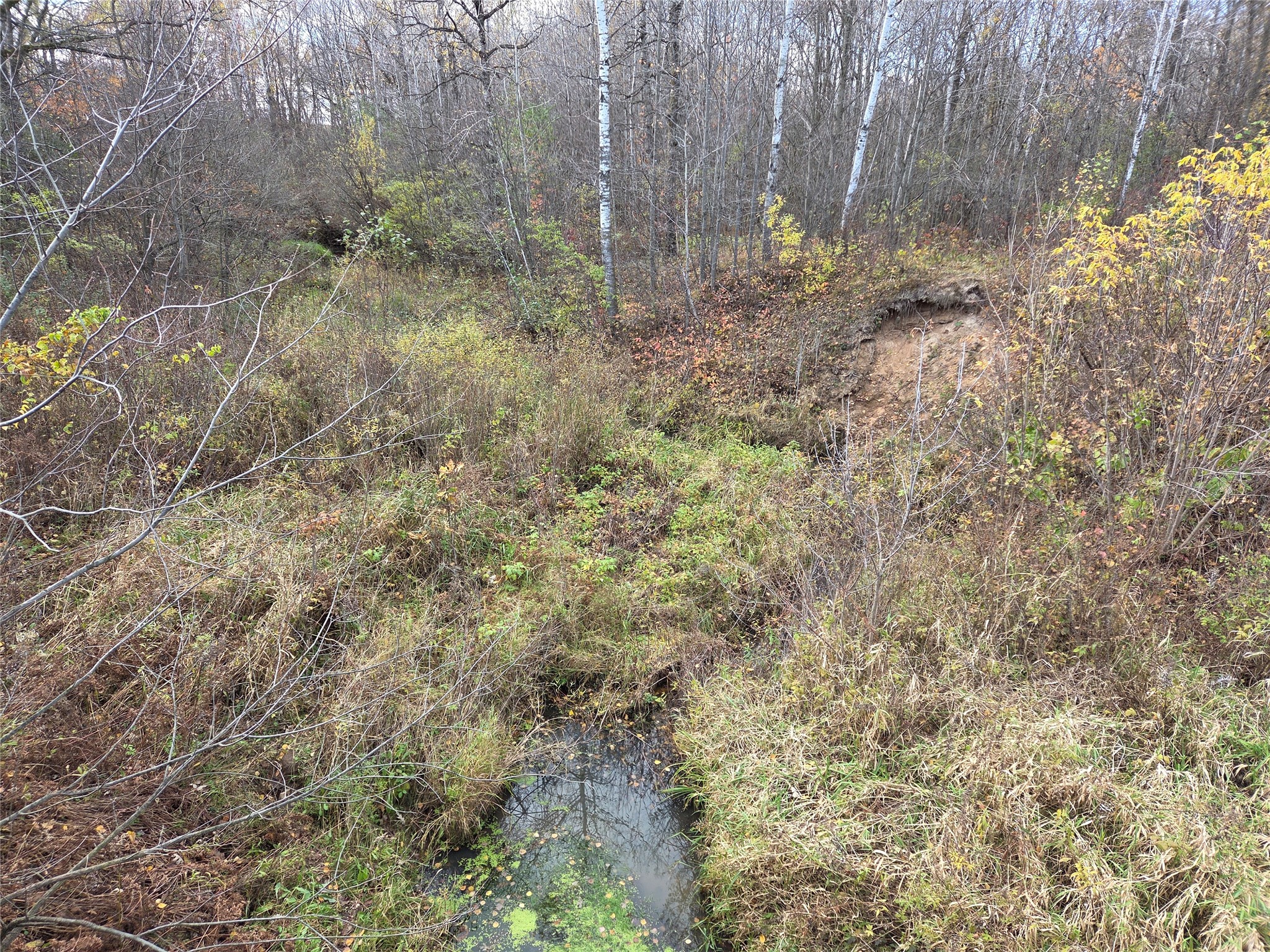 SW corner of Hwy 25 & Hwy 48 Intersection Rice Lake WI 54868 1599819 image1