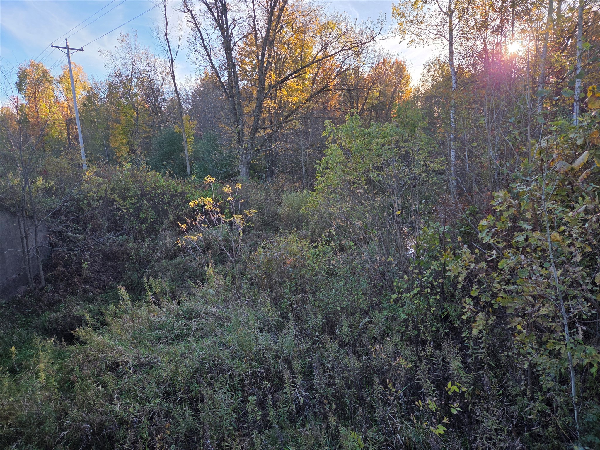 SW corner of Hwy 25 & Hwy 48 Intersection Rice Lake WI 54868 1599819 image2