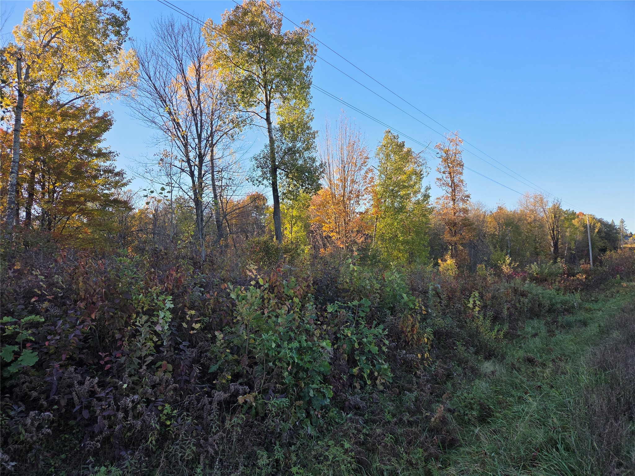 SW corner of Hwy 25 & Hwy 48 Intersection Rice Lake WI 54868 1599819 image3