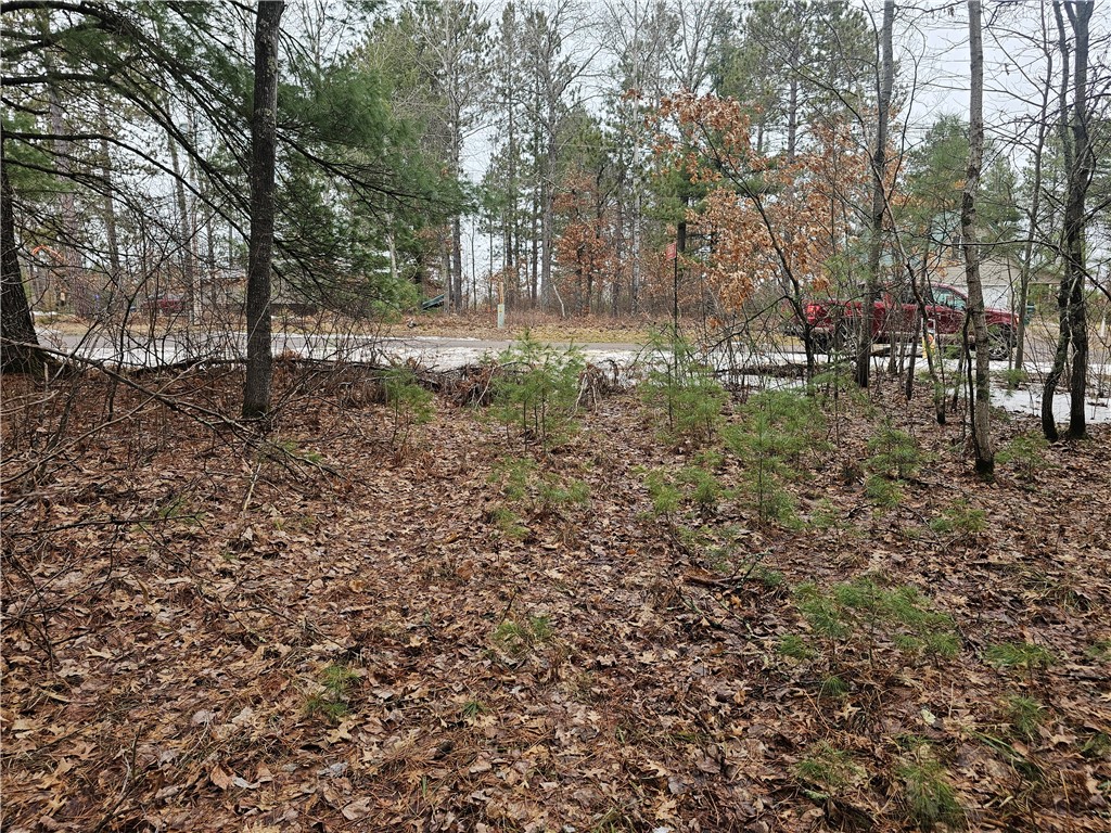 TBD 1 Pine Chip Drive Barnes WI 54873 1589523 image1