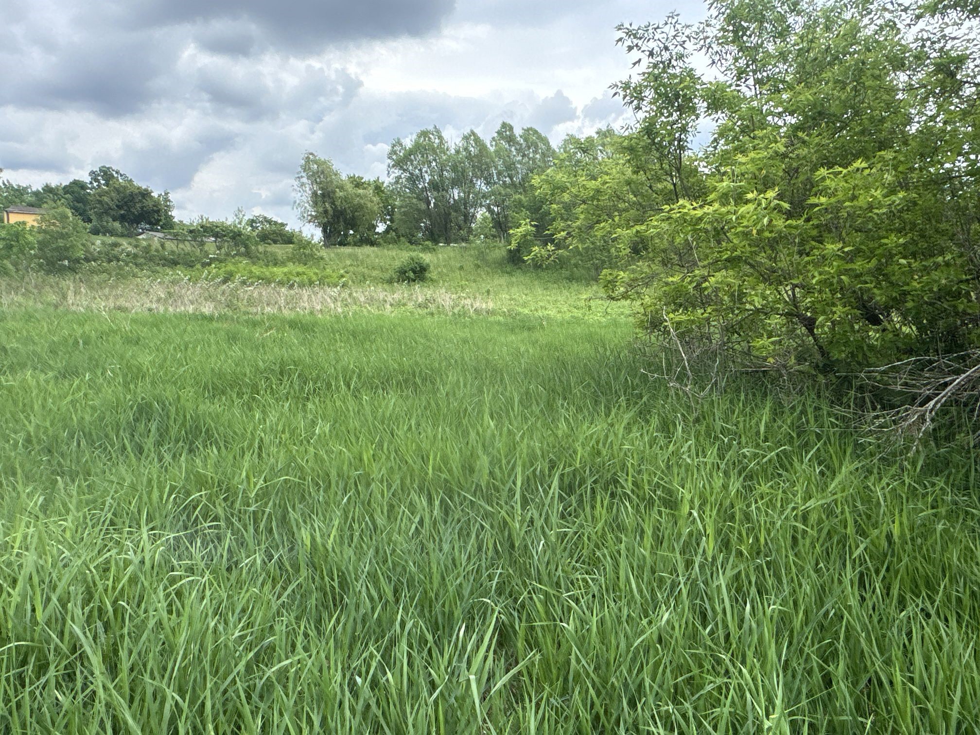 TBD 10 1/2 Avenue Clayton WI 54004 1602115 image3