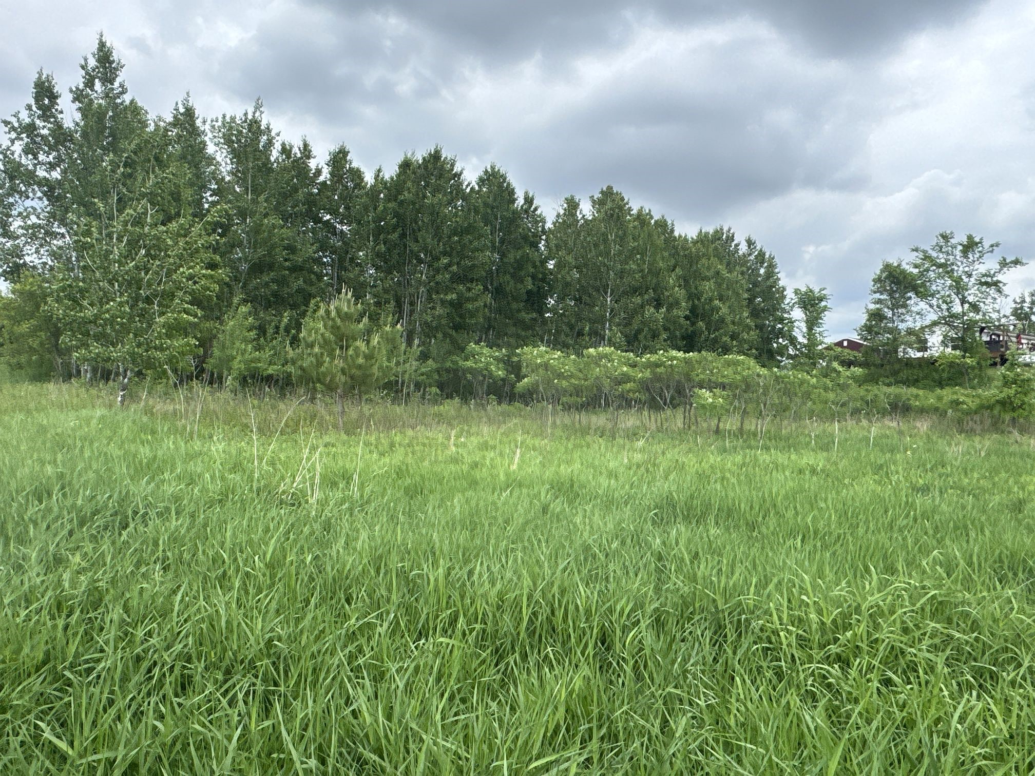 TBD 10 1/2 Avenue Clayton WI 54004 1602115 image7