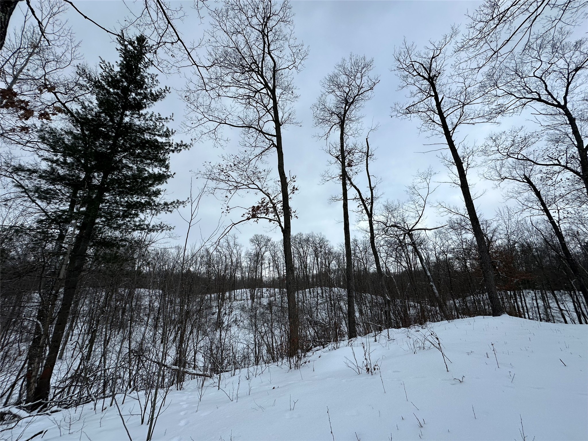 TBD 10 Acres Antler Lake Drive Milltown WI 54858 - No name 1599217 image1