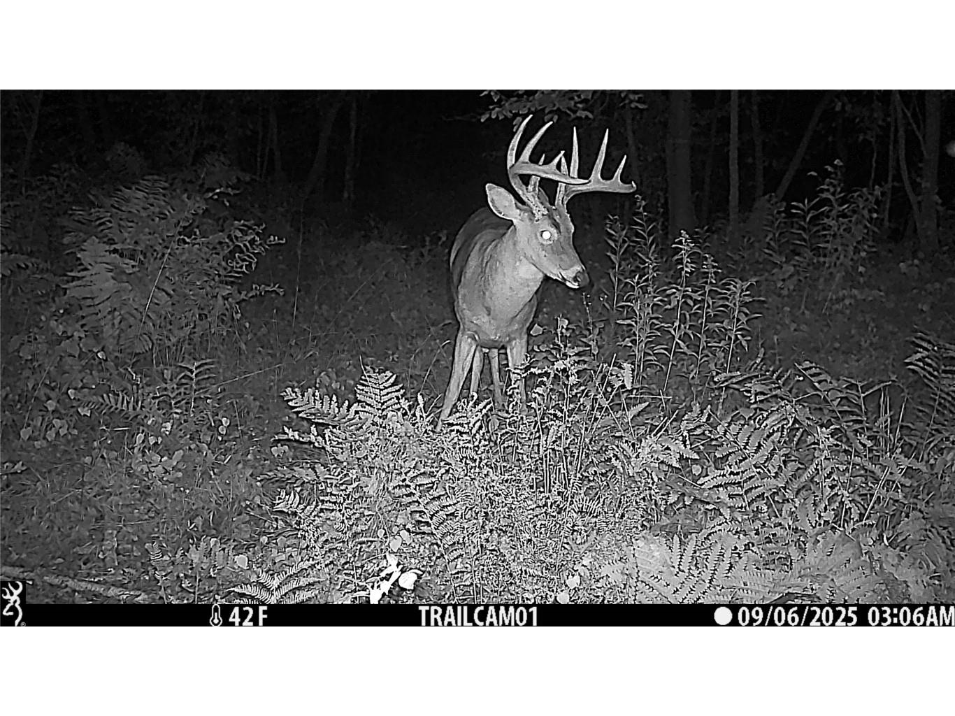 TBD 10 Acres Antler Lake Drive Milltown WI 54858 - No name 1599217 image10