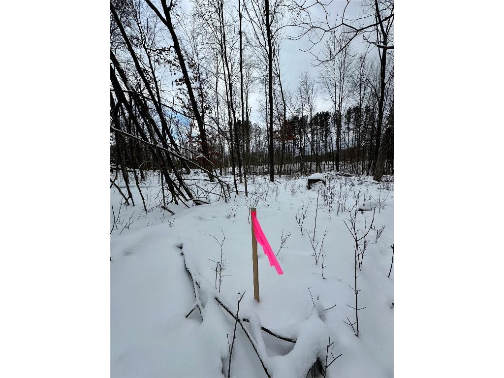 TBD 10 Acres Antler Lake Drive Milltown WI 54858 - No name 1599217 image11