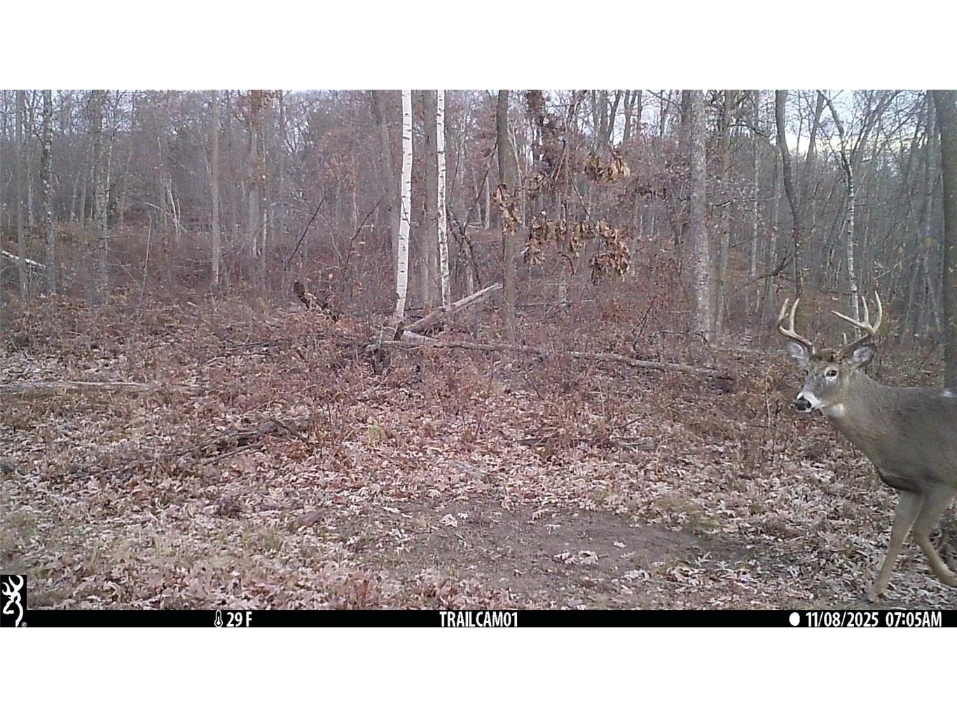 TBD 10 Acres Antler Lake Drive Milltown WI 54858 - No name 1599217 image13