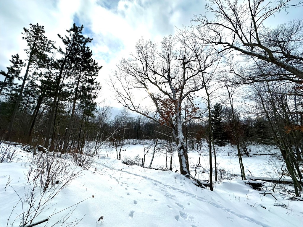 TBD 10 Acres Antler Lake Drive Milltown WI 54858 - No name 1599217 image14