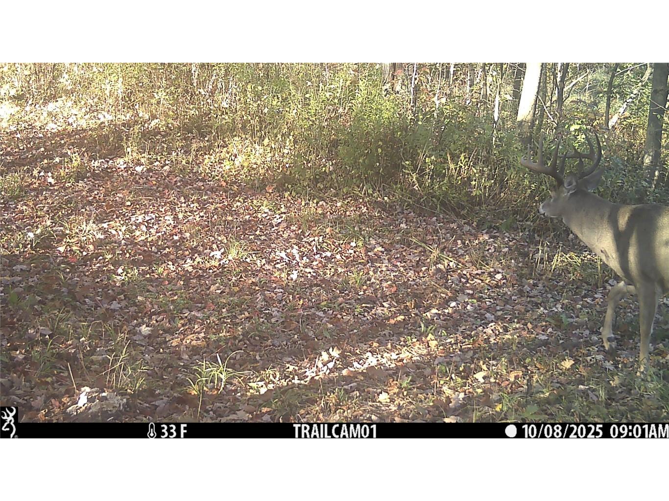 TBD 10 Acres Antler Lake Drive Milltown WI 54858 - No name 1599217 image16