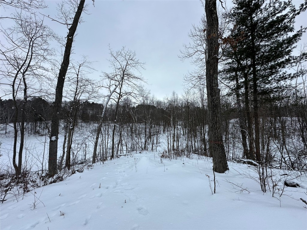 TBD 10 Acres Antler Lake Drive Milltown WI 54858 - No name 1599217 image17