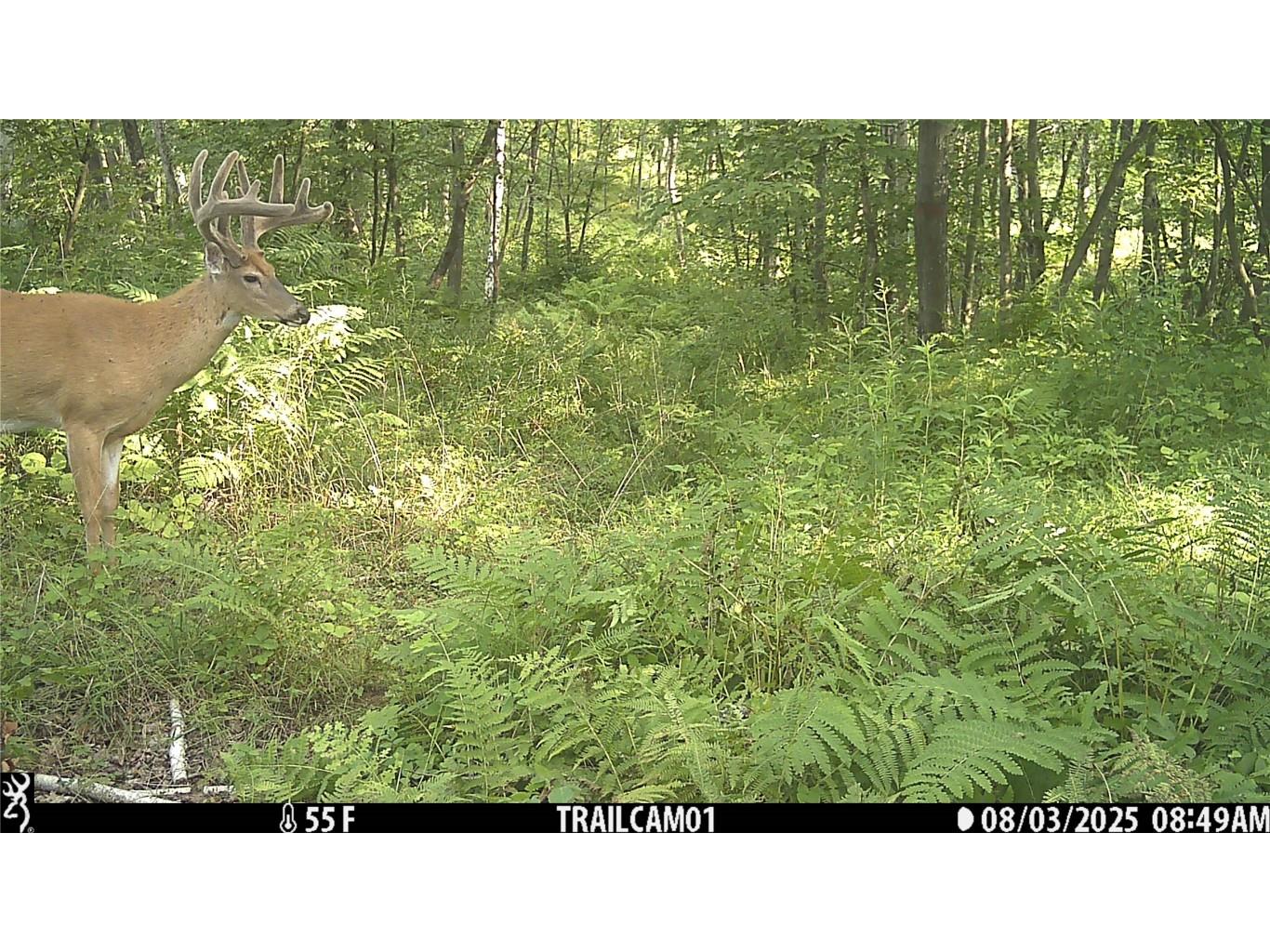 TBD 10 Acres Antler Lake Drive Milltown WI 54858 - No name 1599217 image18