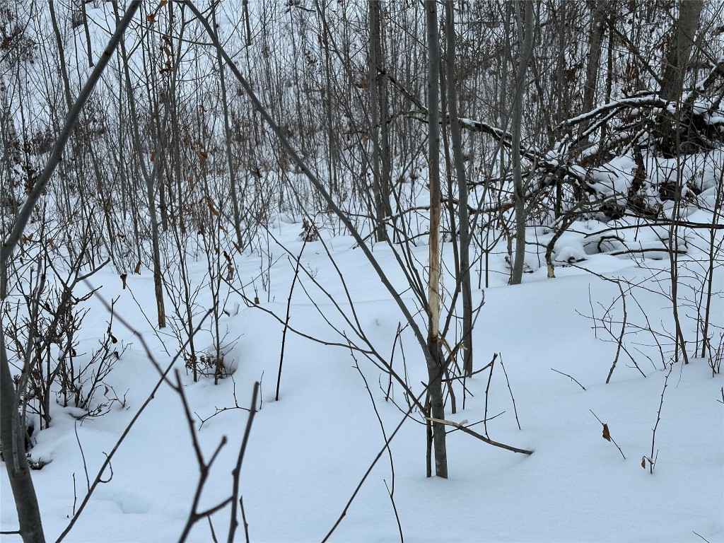 TBD 10 Acres Antler Lake Drive Milltown WI 54858 - No name 1599217 image19