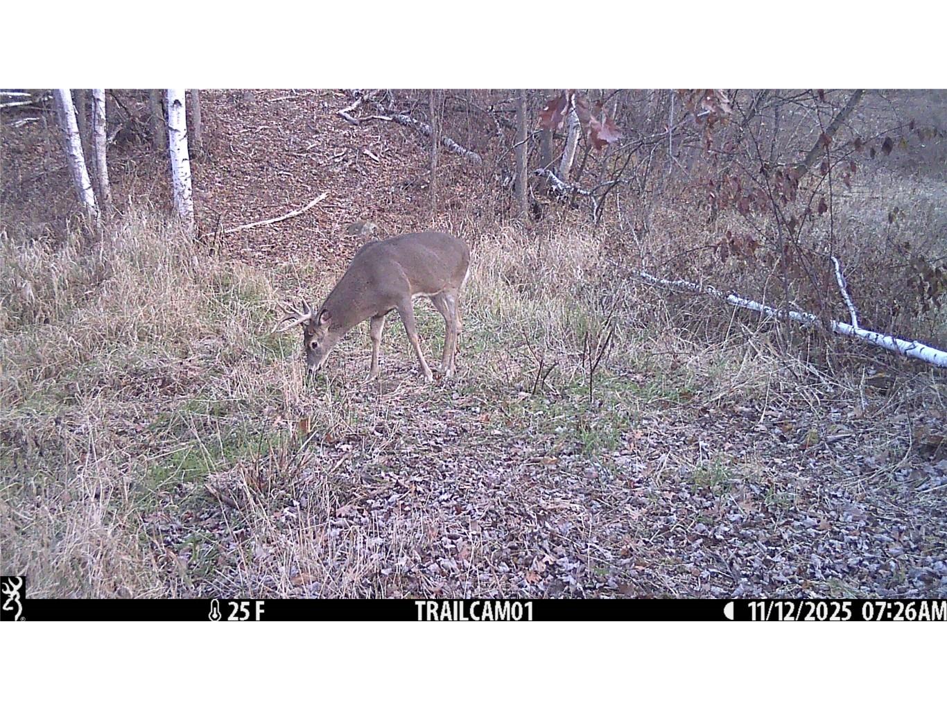 TBD 10 Acres Antler Lake Drive Milltown WI 54858 - No name 1599217 image20