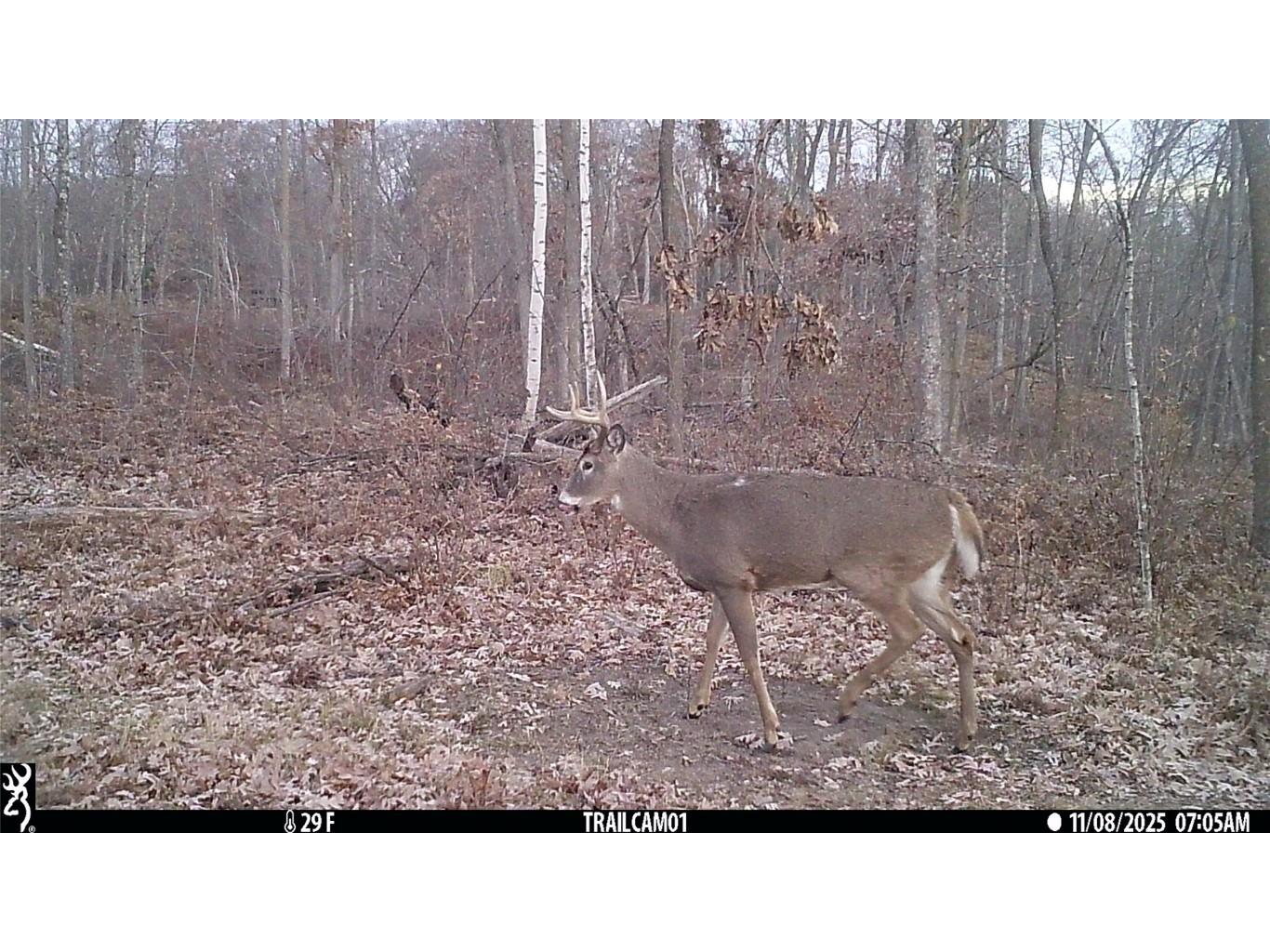 TBD 10 Acres Antler Lake Drive Milltown WI 54858 - No name 1599217 image22