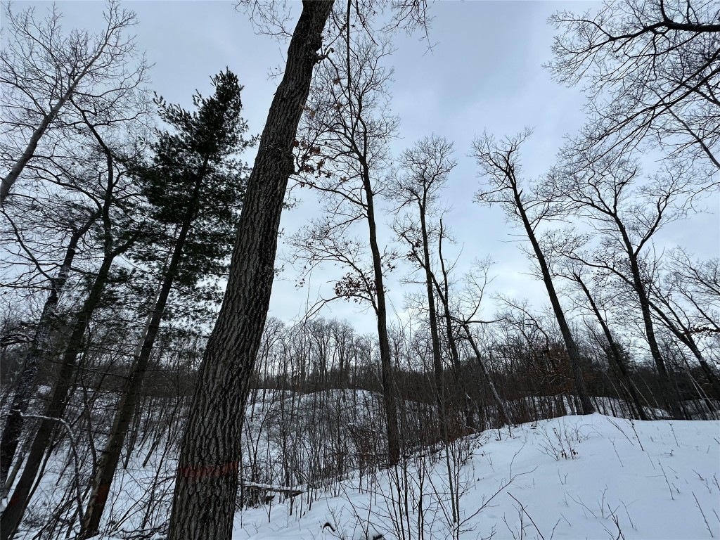 TBD 10 Acres Antler Lake Drive Milltown WI 54858 - No name 1599217 image23