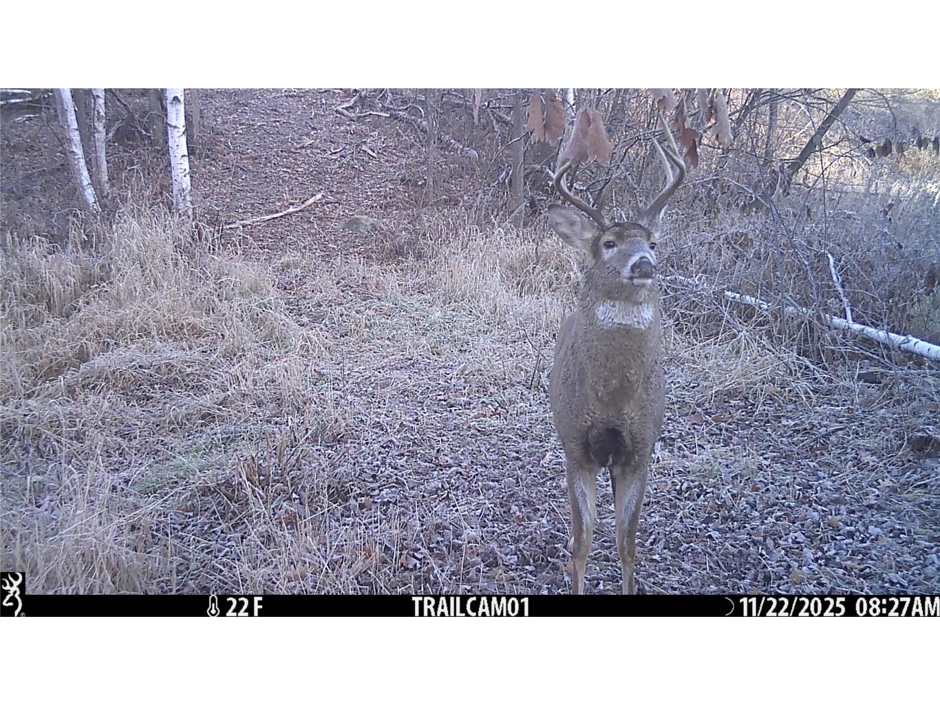 TBD 10 Acres Antler Lake Drive Milltown WI 54858 - No name 1599217 image24