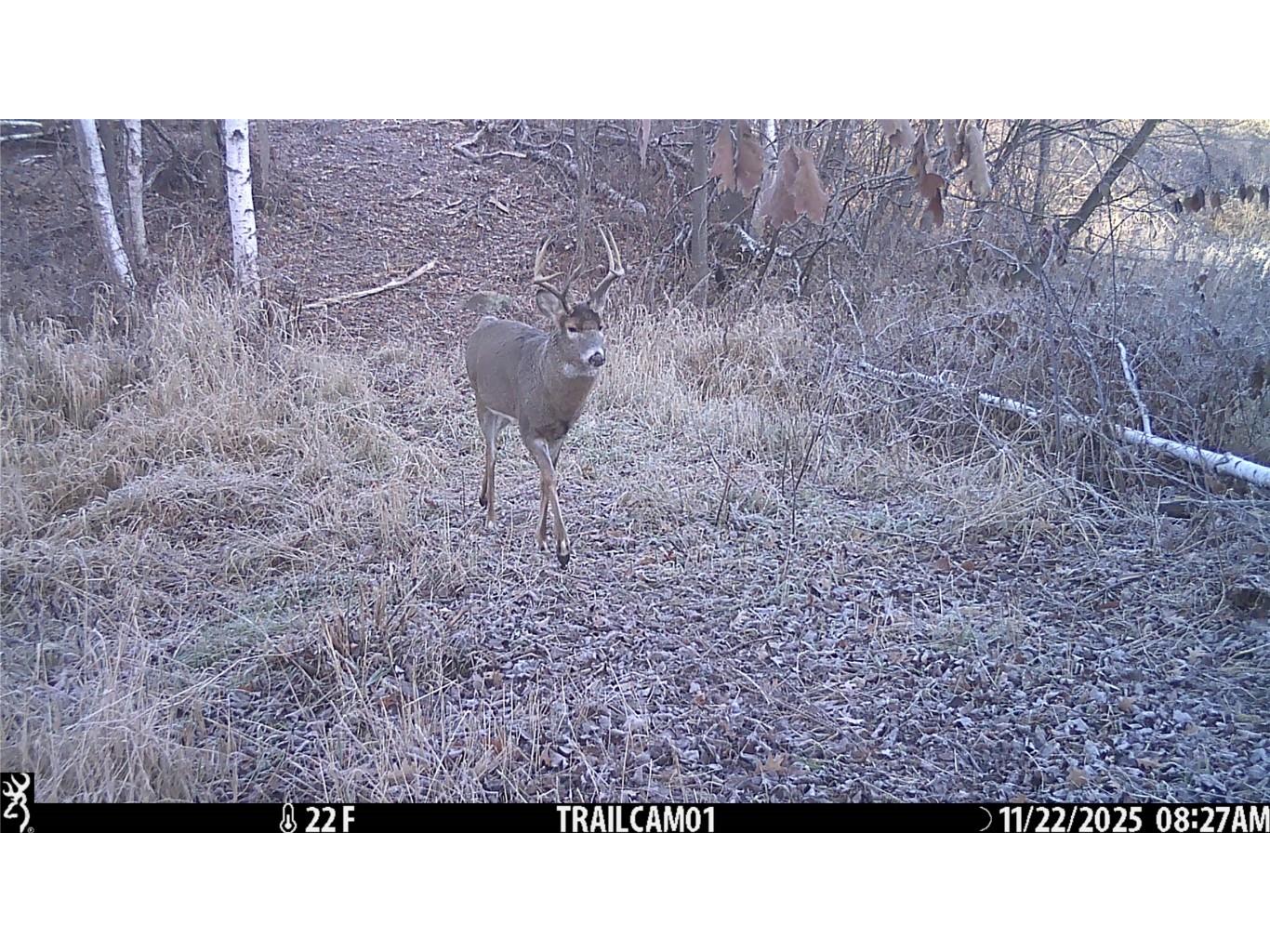 TBD 10 Acres Antler Lake Drive Milltown WI 54858 - No name 1599217 image25