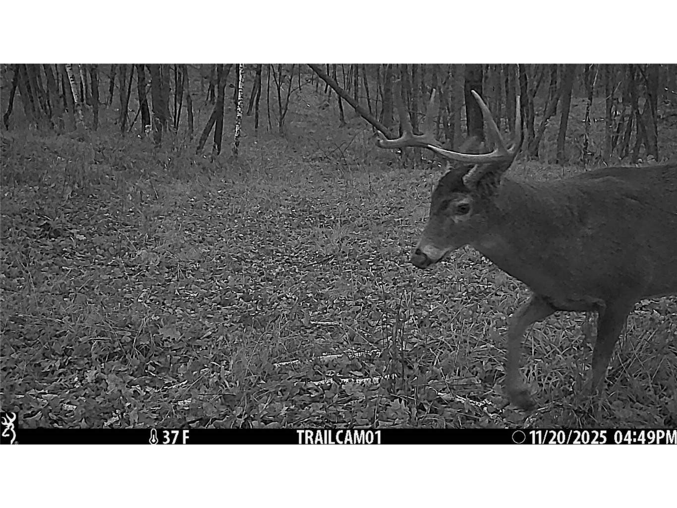 TBD 10 Acres Antler Lake Drive Milltown WI 54858 - No name 1599217 image27