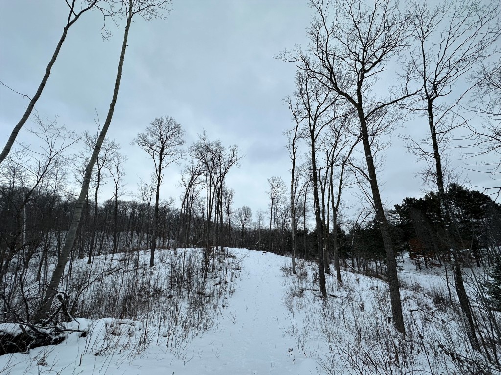 TBD 10 Acres Antler Lake Drive Milltown WI 54858 - No name 1599217 image28